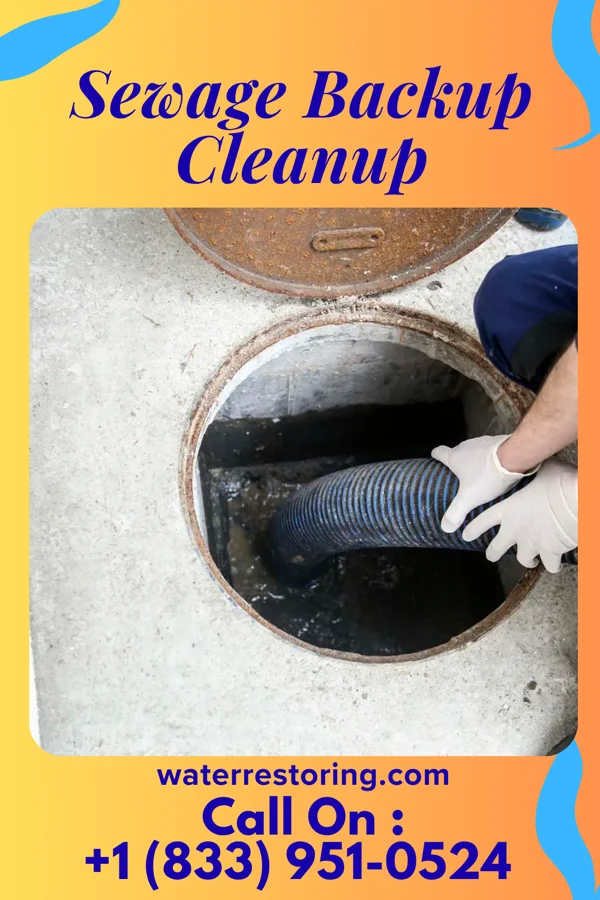 Sewage Backup Cleanup in Arlington, TN