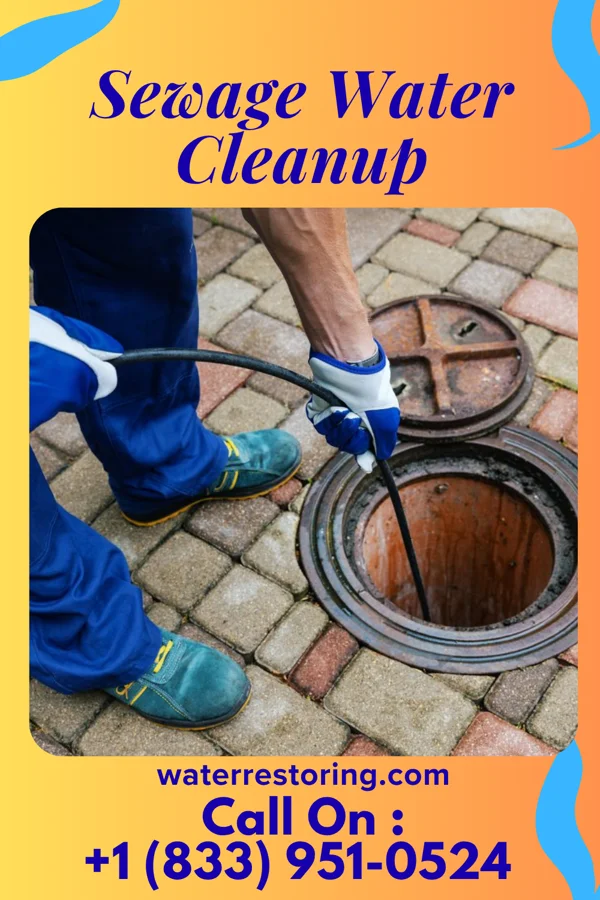 Sewage Water Cleanup in Arlington, TN
