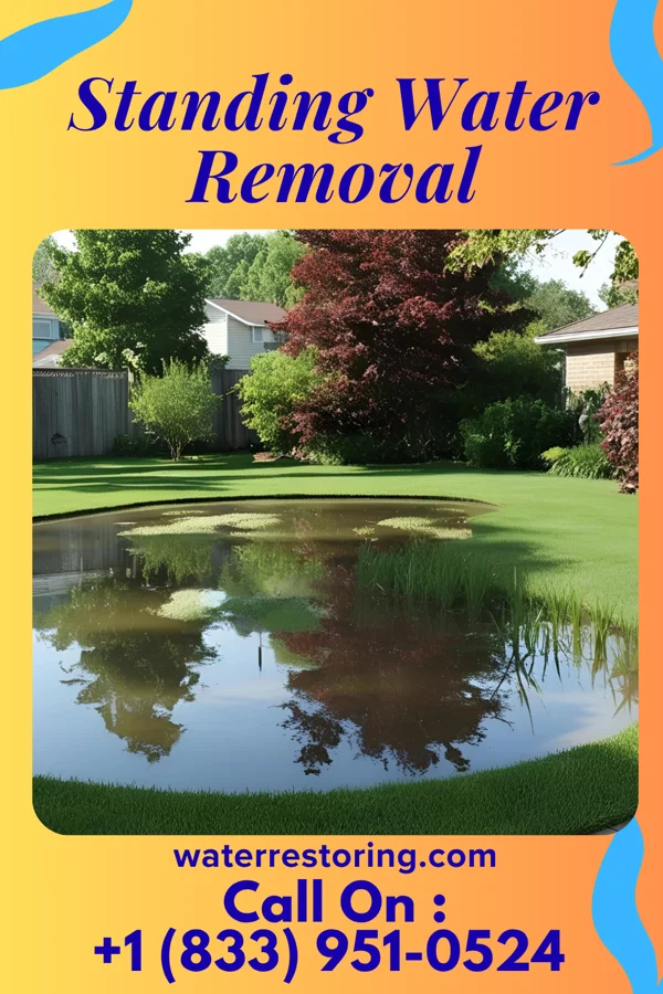 Standing Water Removal in Arlington, TN